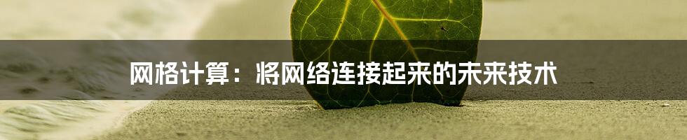 网格计算：将网络连接起来的未来技术