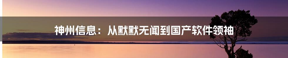 神州信息：从默默无闻到国产软件领袖