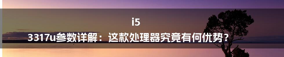 i5 3317u参数详解：这款处理器究竟有何优势？