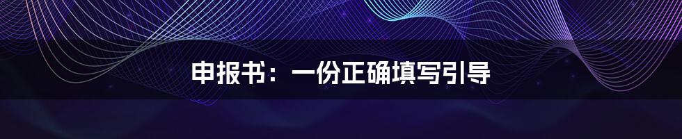 申报书：一份正确填写引导