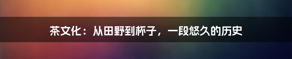 茶文化：从田野到杯子，一段悠久的历史