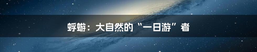 蜉蝣：大自然的“一日游”者