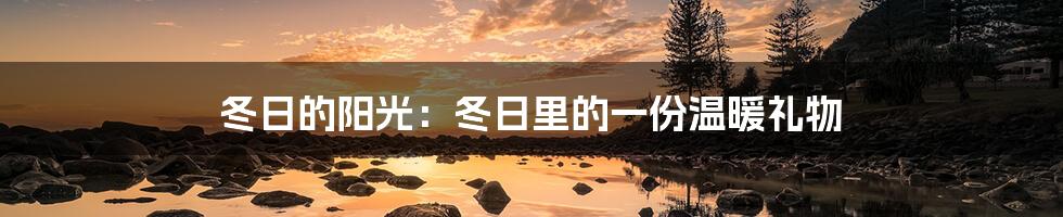 冬日的阳光：冬日里的一份温暖礼物