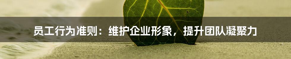 员工行为准则：维护企业形象，提升团队凝聚力