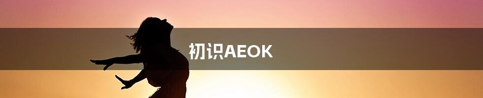 初识AEOK