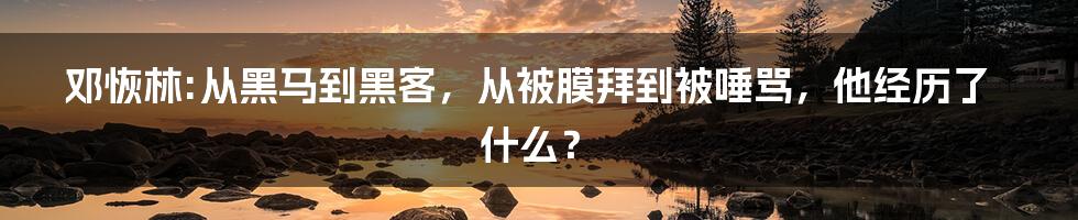 邓恢林:从黑马到黑客，从被膜拜到被唾骂，他经历了什么？