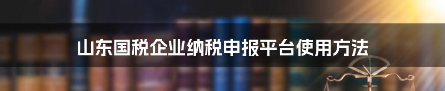 山东国税企业纳税申报平台使用方法