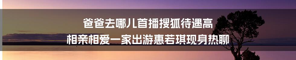 爸爸去哪儿首播搜狐待遇高 相亲相爱一家出游惠若琪现身热聊