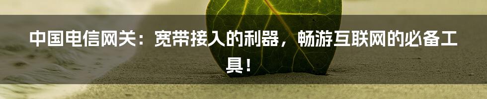 中国电信网关：宽带接入的利器，畅游互联网的必备工具！