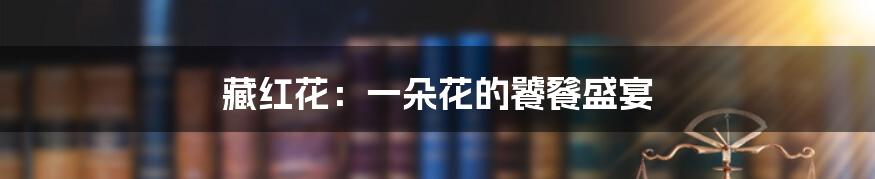 藏红花：一朵花的饕餮盛宴