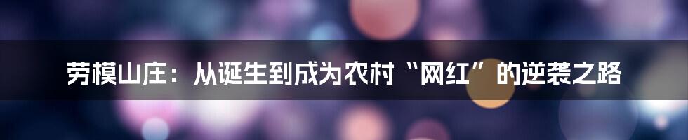 劳模山庄：从诞生到成为农村“网红”的逆袭之路