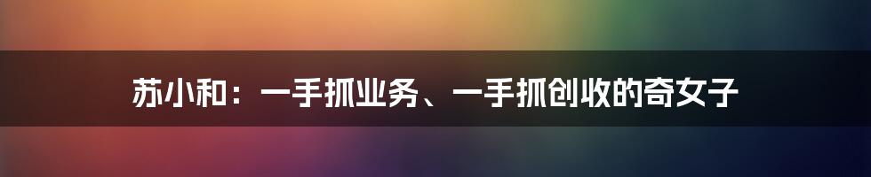 苏小和：一手抓业务、一手抓创收的奇女子