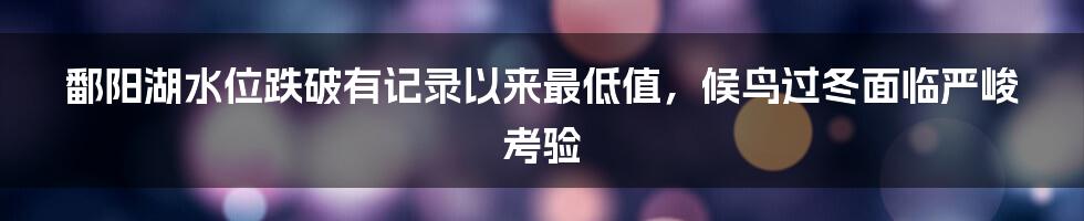 鄱阳湖水位跌破有记录以来最低值，候鸟过冬面临严峻考验