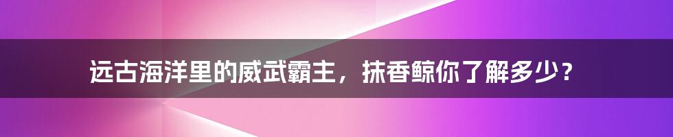 远古海洋里的威武霸主，抹香鲸你了解多少？