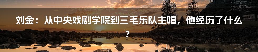 刘金：从中央戏剧学院到三毛乐队主唱，他经历了什么？