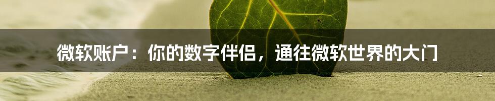 微软账户：你的数字伴侣，通往微软世界的大门