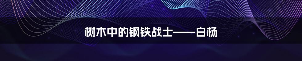 树木中的钢铁战士——白杨