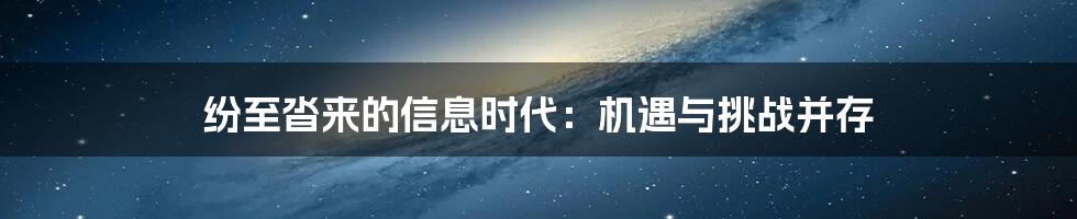 纷至沓来的信息时代：机遇与挑战并存