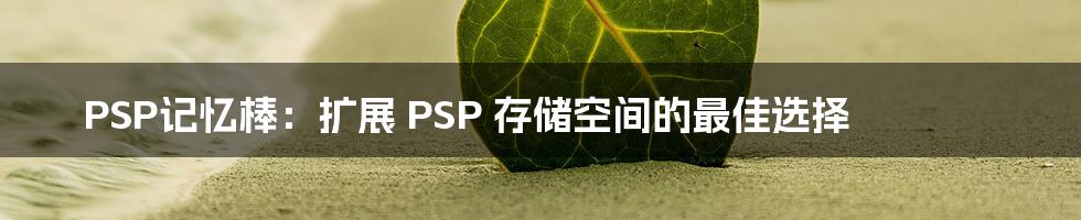 PSP记忆棒：扩展 PSP 存储空间的最佳选择