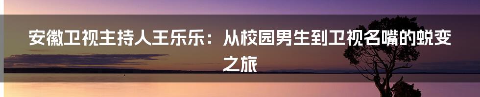 安徽卫视主持人王乐乐：从校园男生到卫视名嘴的蜕变之旅