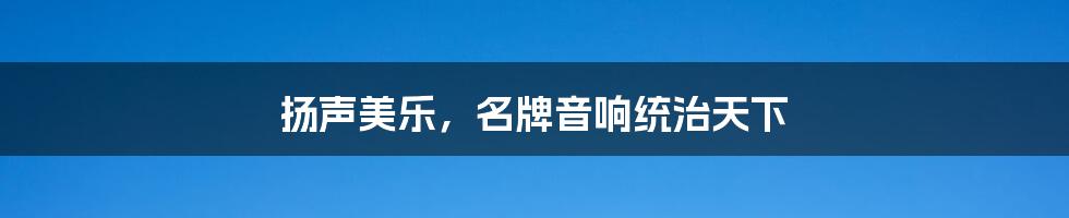 扬声美乐，名牌音响统治天下