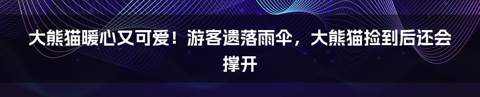 大熊猫暖心又可爱！游客遗落雨伞，大熊猫捡到后还会撑开