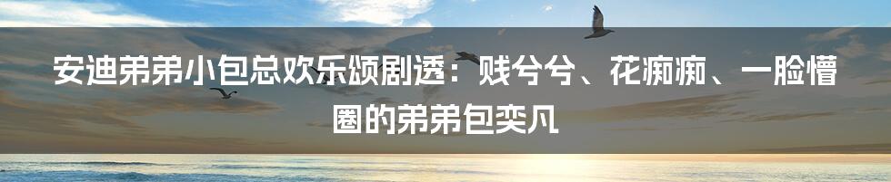 安迪弟弟小包总欢乐颂剧透：贱兮兮、花痴痴、一脸懵圈的弟弟包奕凡