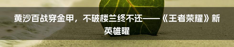 黄沙百战穿金甲，不破楼兰终不还——《王者荣耀》新英雄曜