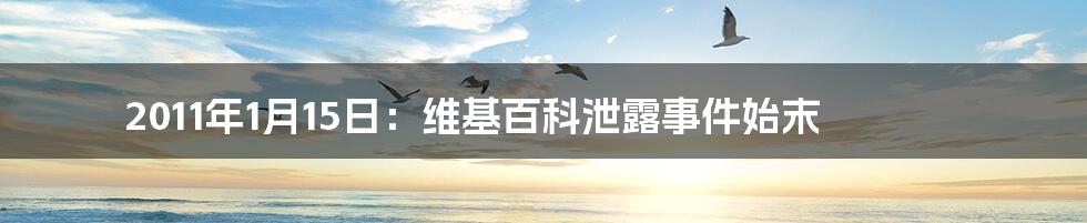 2011年1月15日：维基百科泄露事件始末