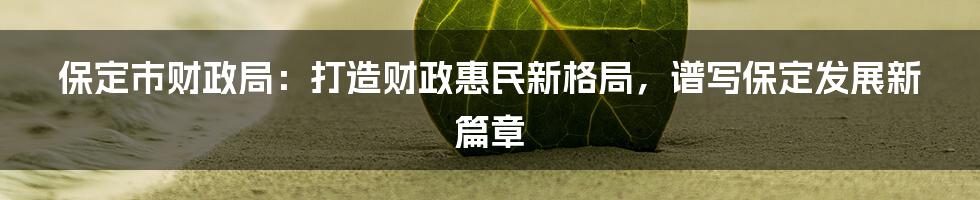 保定市财政局：打造财政惠民新格局，谱写保定发展新篇章