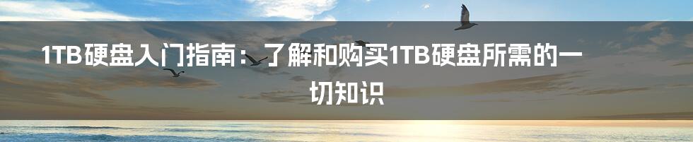 1TB硬盘入门指南：了解和购买1TB硬盘所需的一切知识