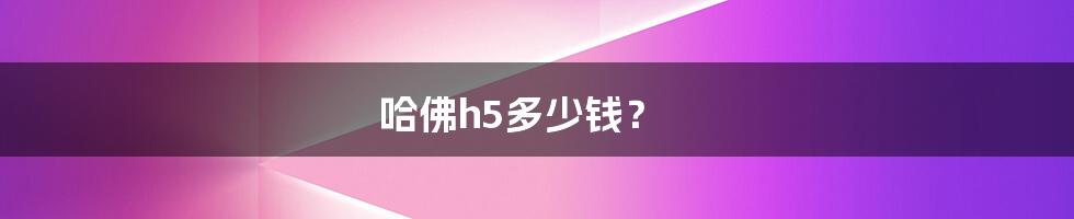 哈佛h5多少钱？