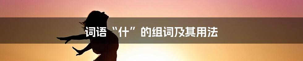 词语“什”的组词及其用法