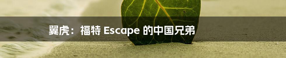 翼虎：福特 Escape 的中国兄弟