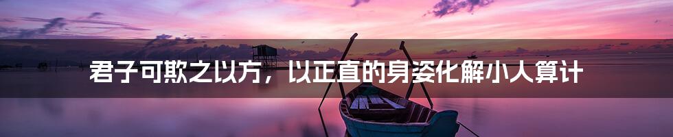 君子可欺之以方，以正直的身姿化解小人算计