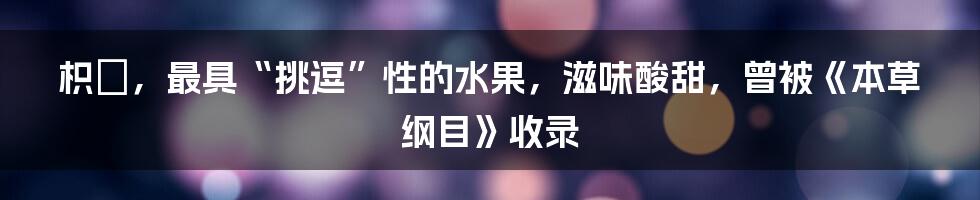 枳椇，最具“挑逗”性的水果，滋味酸甜，曾被《本草纲目》收录