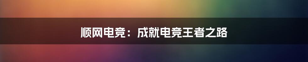 顺网电竞：成就电竞王者之路