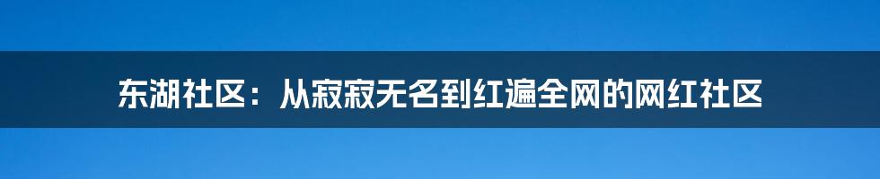 东湖社区：从寂寂无名到红遍全网的网红社区