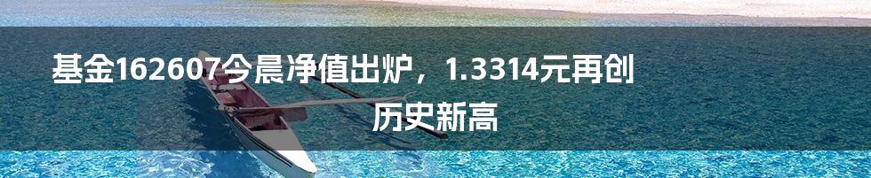 基金162607今晨净值出炉，1.3314元再创历史新高