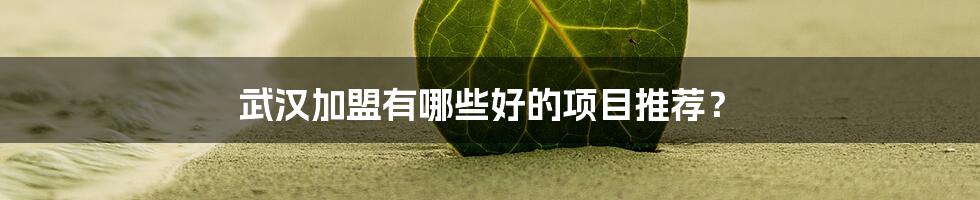 武汉加盟有哪些好的项目推荐？