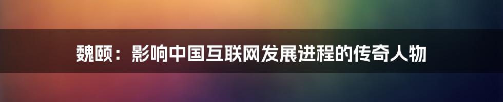 魏颐：影响中国互联网发展进程的传奇人物