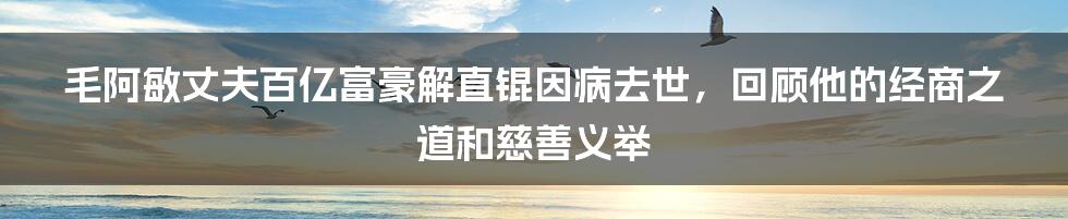 毛阿敏丈夫百亿富豪解直锟因病去世，回顾他的经商之道和慈善义举