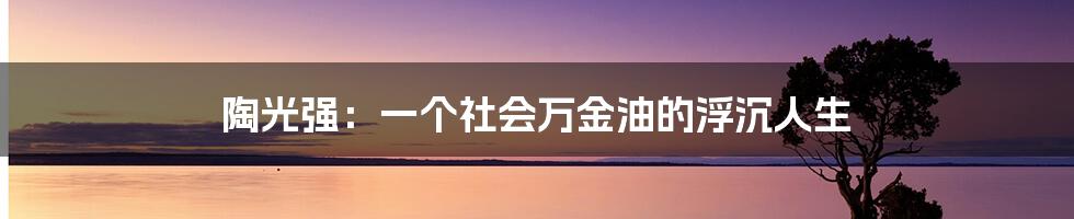 陶光强：一个社会万金油的浮沉人生