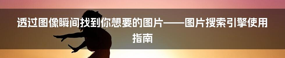 透过图像瞬间找到你想要的图片——图片搜索引擎使用指南