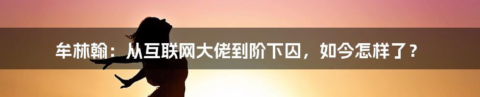 牟林翰：从互联网大佬到阶下囚，如今怎样了？