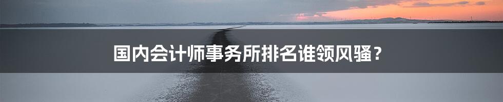 国内会计师事务所排名谁领风骚？