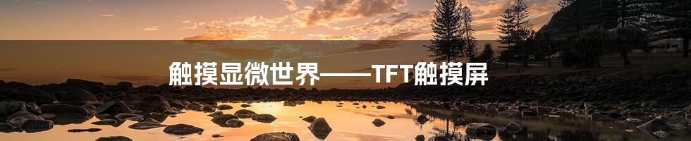 触摸显微世界——TFT触摸屏