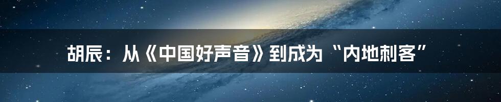 胡辰：从《中国好声音》到成为“内地刺客”