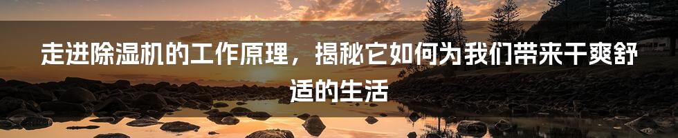 走进除湿机的工作原理，揭秘它如何为我们带来干爽舒适的生活