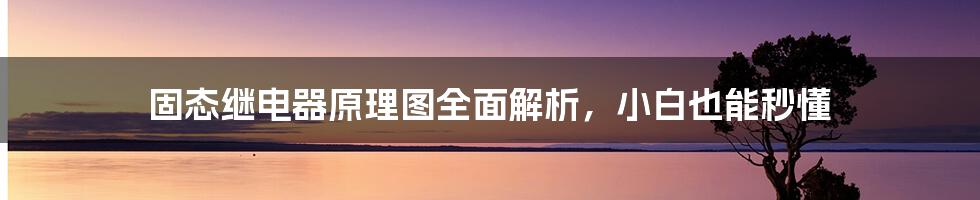 固态继电器原理图全面解析，小白也能秒懂